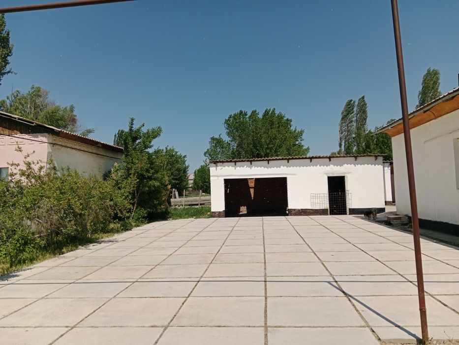 Дом в селе Гродеково