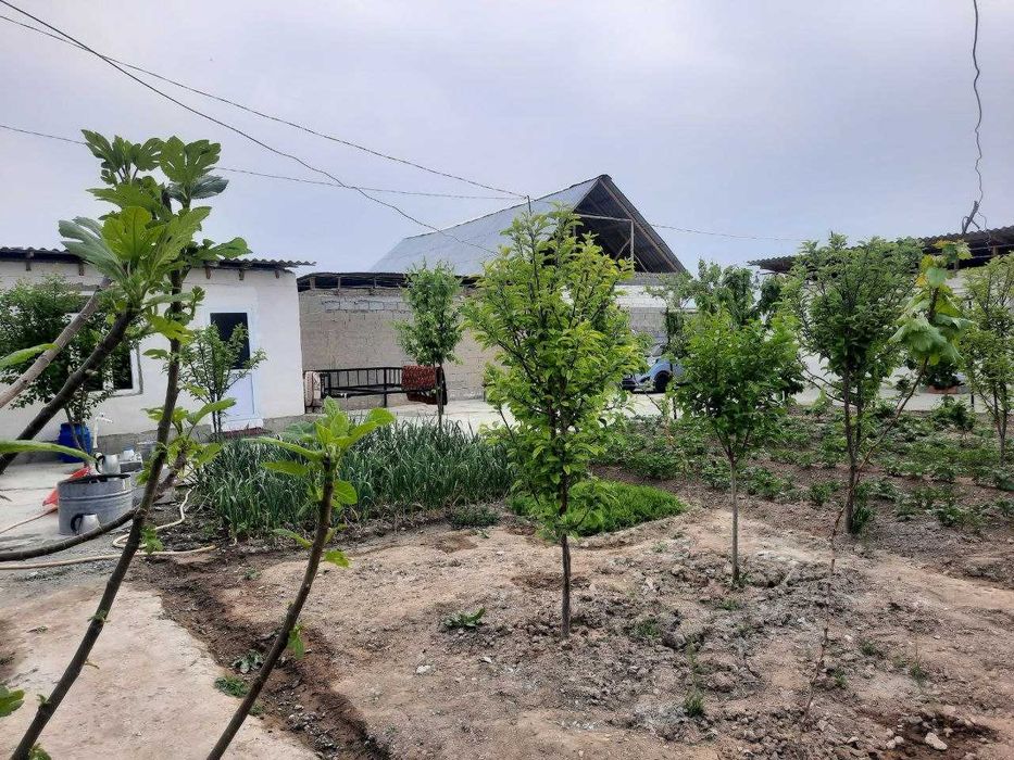 Hovli uy sotiladi. | Продается дом.