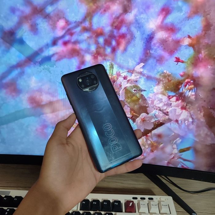 Picco X3 pro dastavka bor