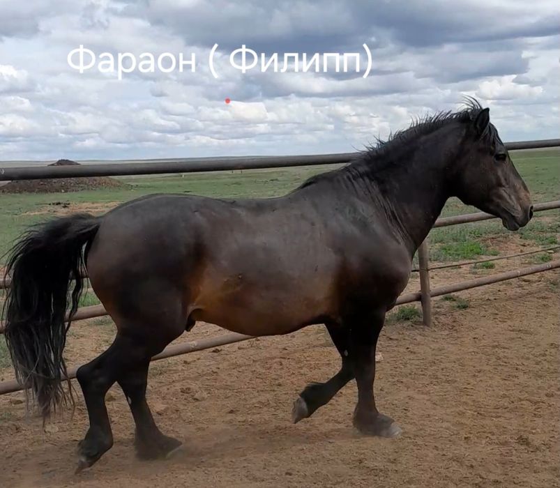 МЗ тайлар 2025. сатылымда.