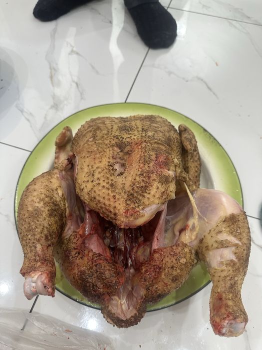 Бройлер балапандар.