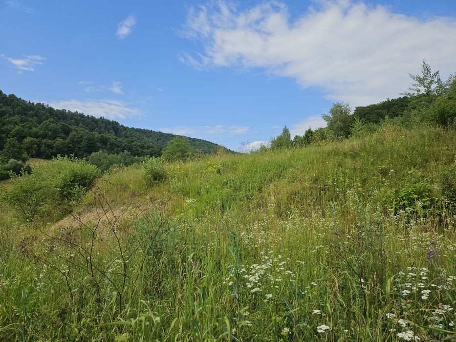 Teren intravilan