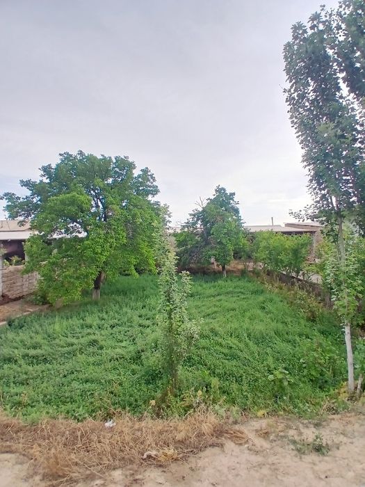 Hovli sotiladi qarshi shahar