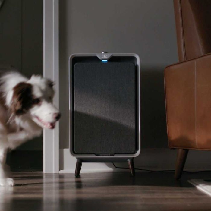 Пречиствател на въздух Въздухопречиствател BISSELL Винтидж дизайн