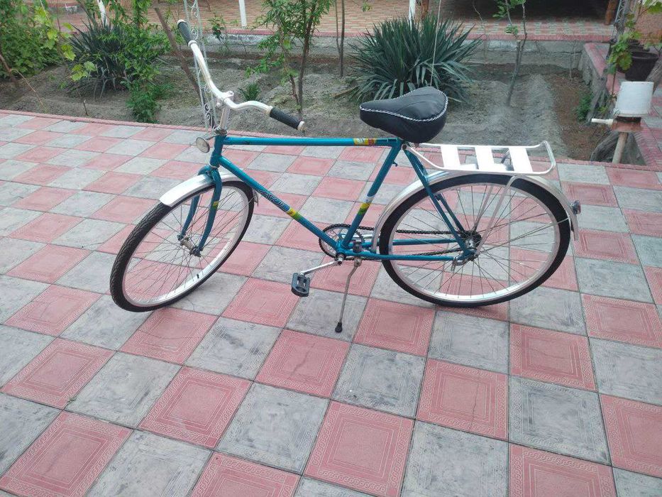 Kattalar velosipedi sotiladi.