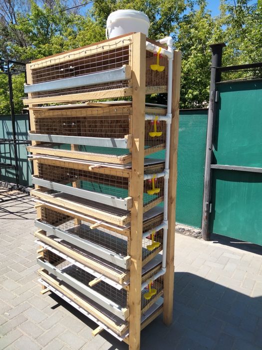 Продаю клетку для перепелок