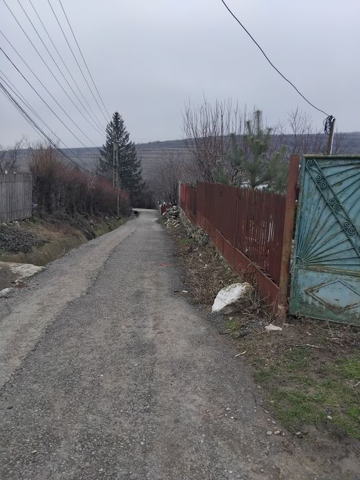 Teren de vânzare,Persunari