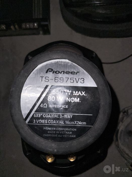 Pioneer champion kalonka
