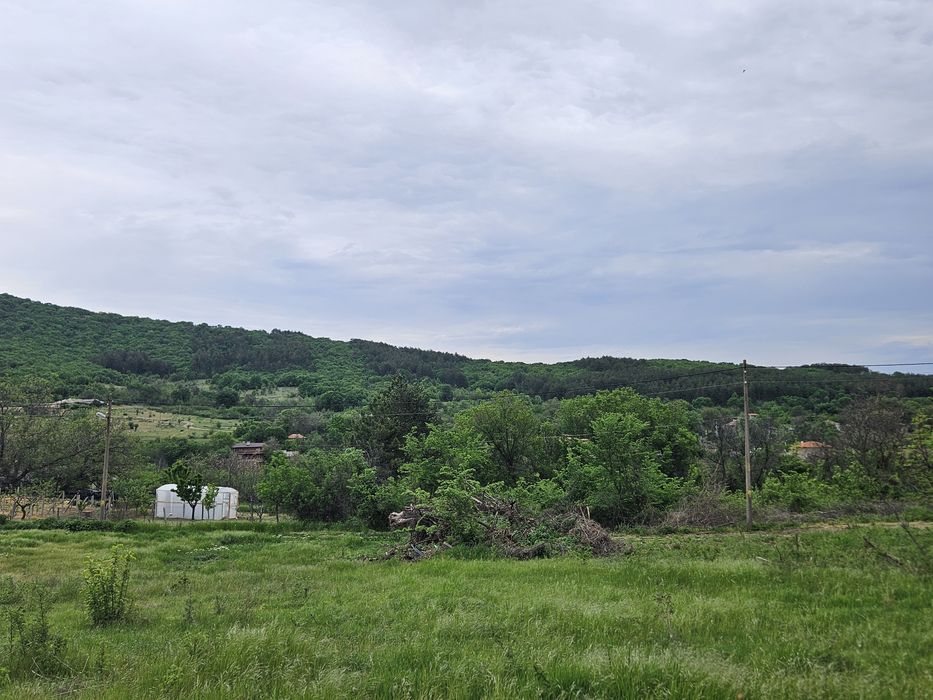 Продава се Парцел в с. Средно градище, Област Стара Загора - 1740 кв.м за 11 €/кв.м - Снимка #5