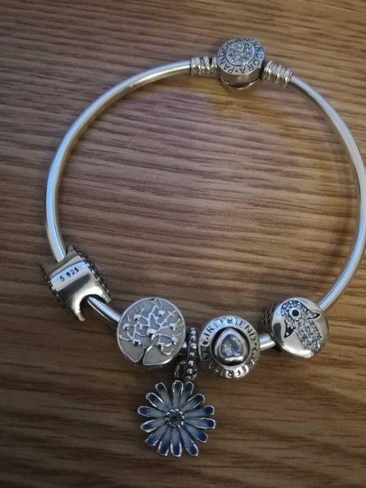 Bratara si Charmuri Argint