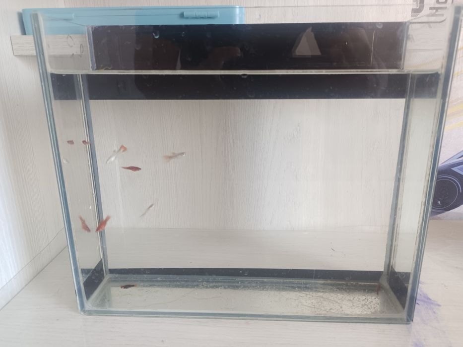 Продам Аквариум 3 л с рыбками