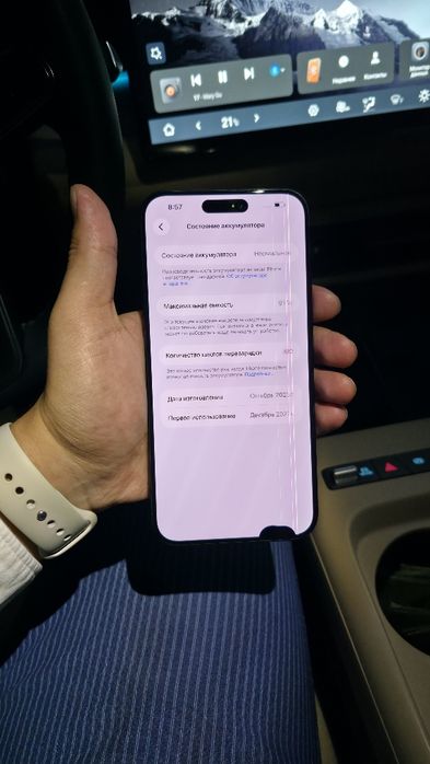 IPhone 15 Pro Max 256 Gb