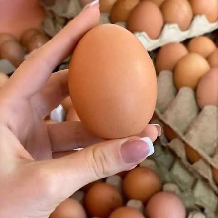 Яйца Домашние ...