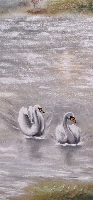 Tablou pictat-natura-animale 60x80 cm