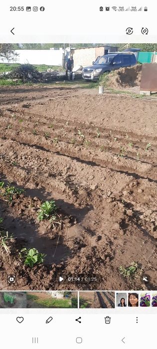 Продам дачу с/оАгротехснаб