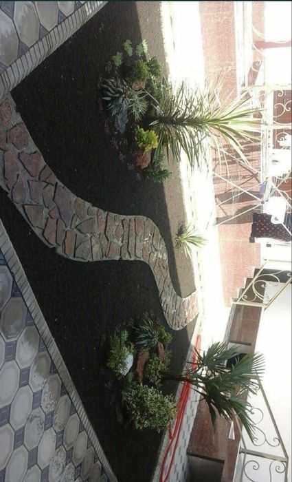 Рулон газон высшего качесства