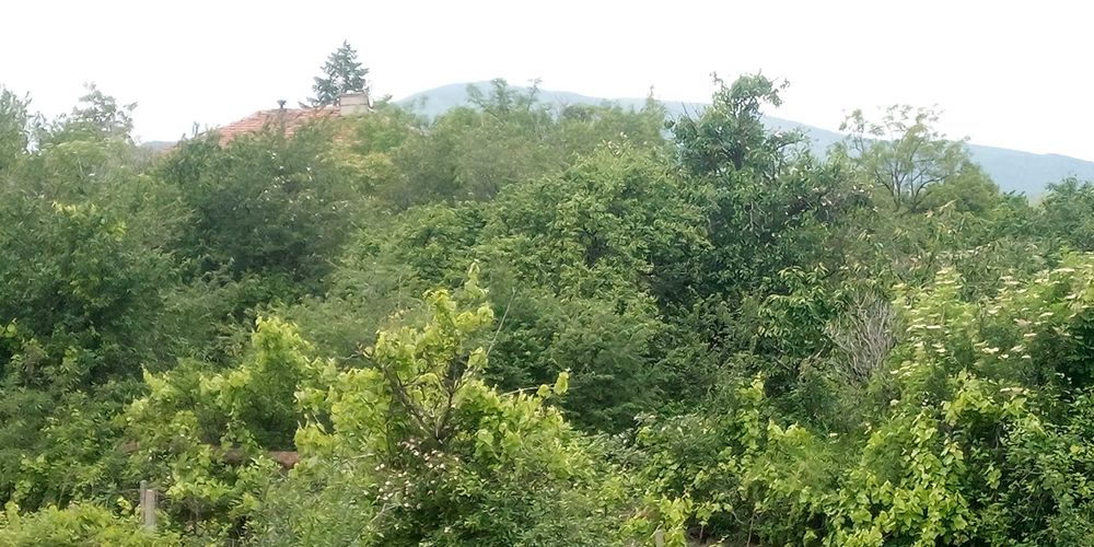 Продава се Парцел в с. Горно вършило, Област Пазарджик - 866 кв.м за 21 €/кв.м - Снимка #2