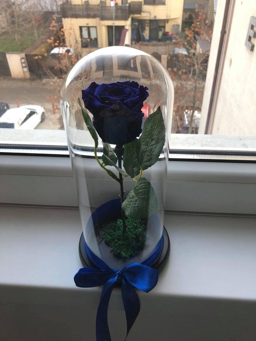 Trandafiri criogenati ursuleti in cutie cutii aranjament cadoul ideal