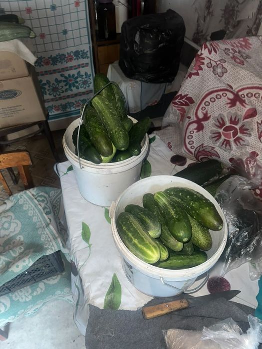 Продам .                            .