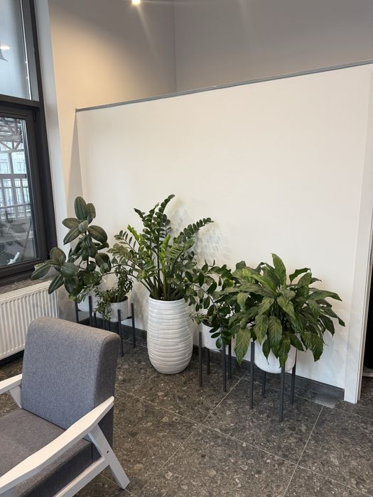 Продаю действуйщий бизнес