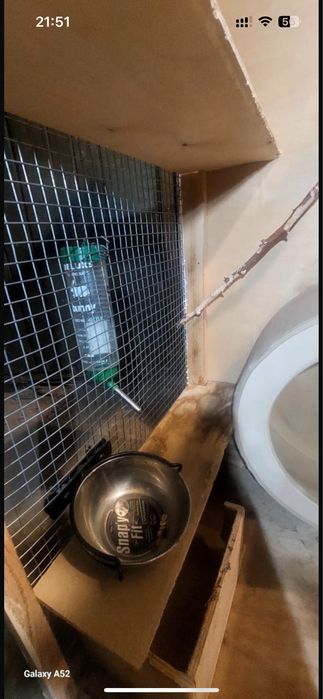 Клетка для шиншилы