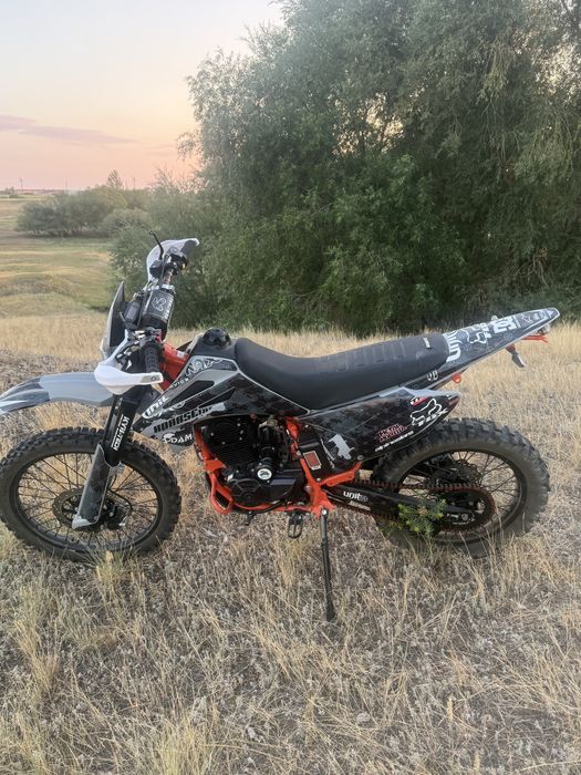 прогаси пальма 300