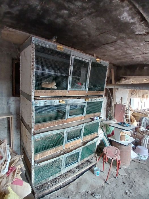 Брудир сотилади жужа бокишга кулай