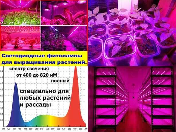 Фито лампа  300 диодов.