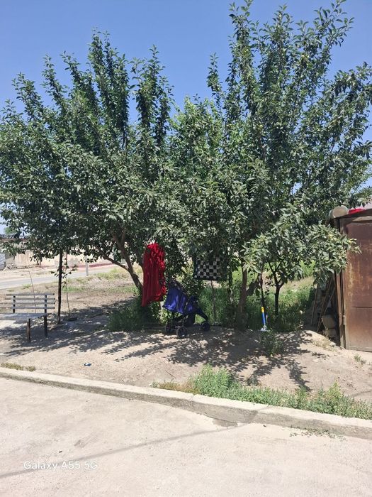 1 хонали уй Птица Фабрикадан.