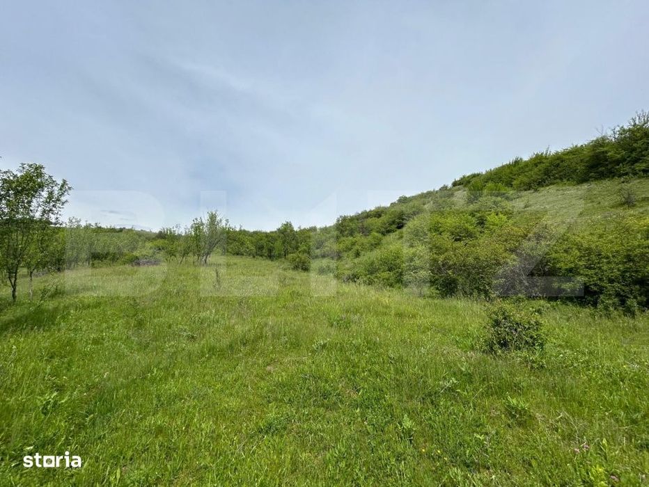 Proprietate exclusivista cu potential urias in Bunesti, judetul Cluj!