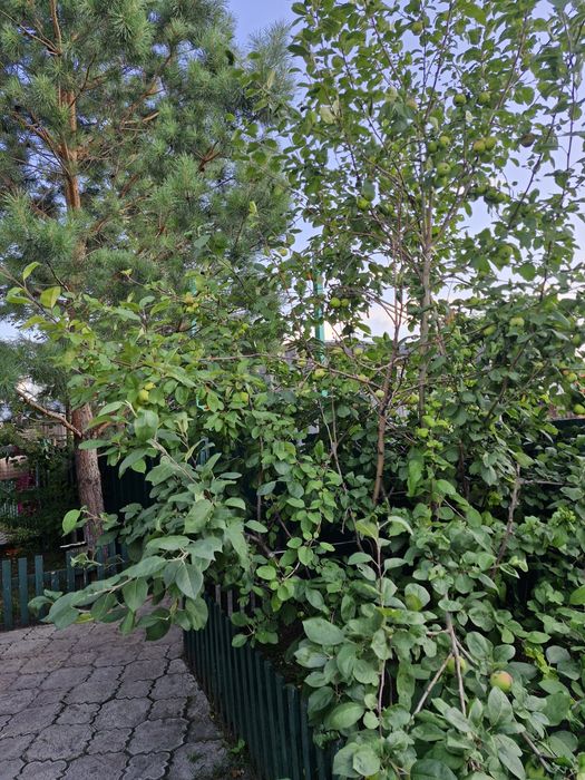 Продам дом все условия в доме есть