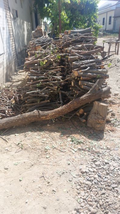 Tayor utinlar sotiladi