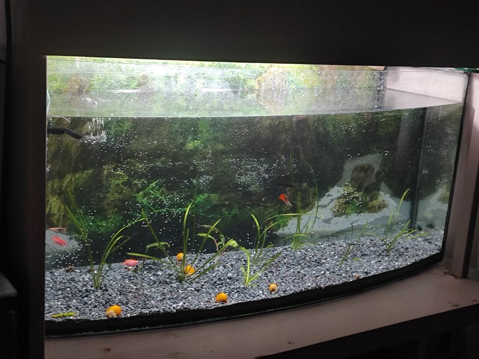 Аквариум 100 литров