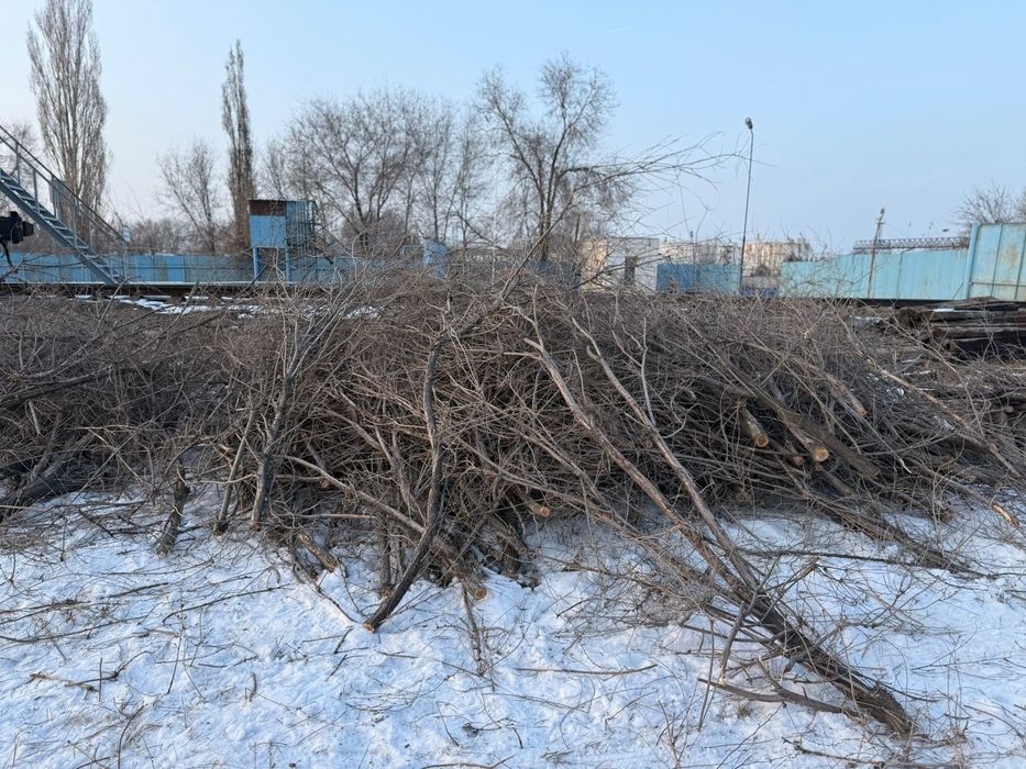 Отдам даром дрова