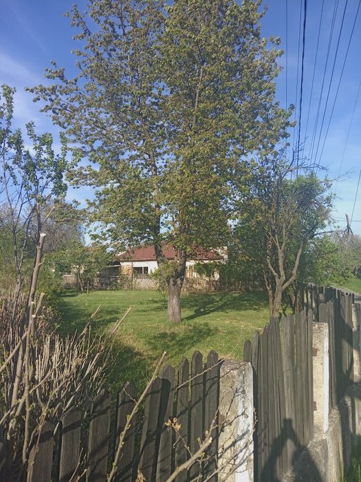 Vând casă batraneasca cu 1700mp