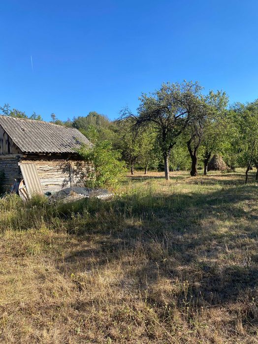 vand casa cu gradina