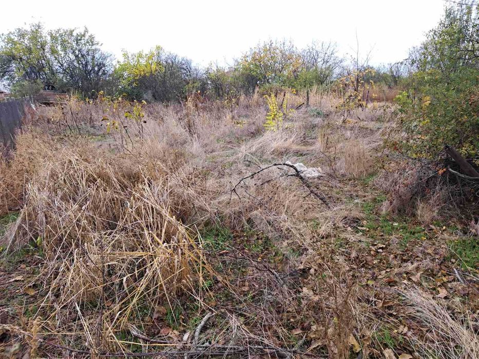 Парцел в с.Чешнегирово 44357