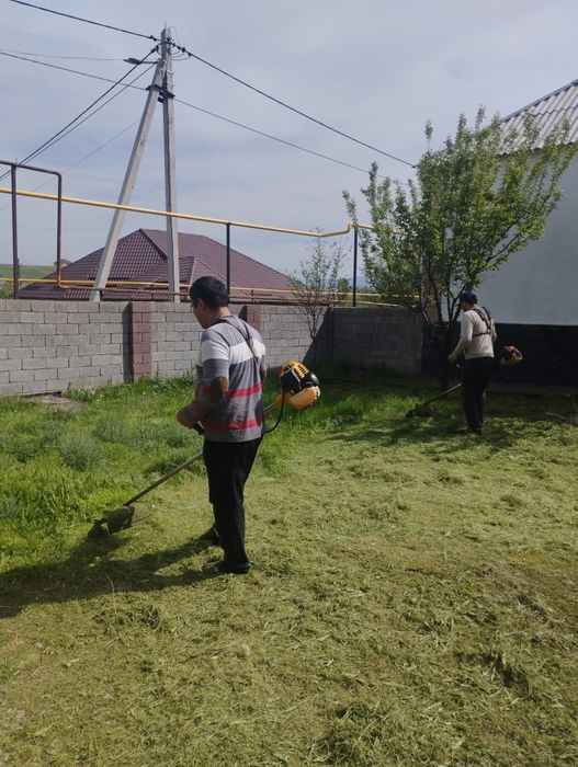 Шөп ору, Косим траву, Шоп ору