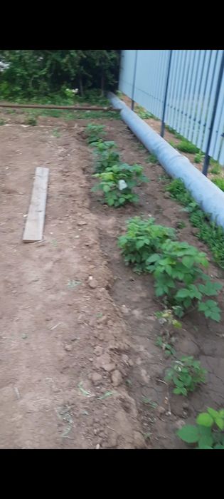 Продам дачу со Агротехснаб