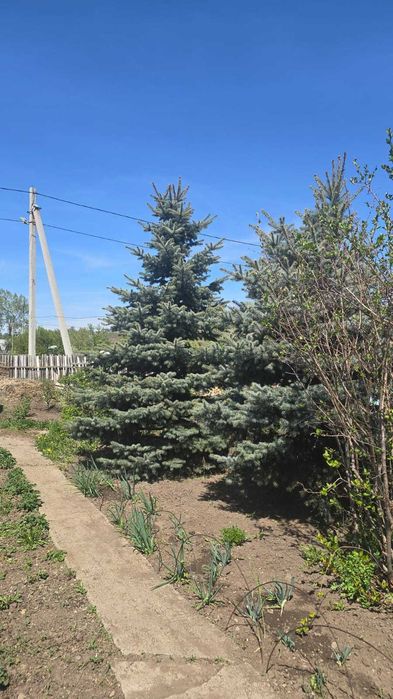 Продается дом, ул.Кубинская
