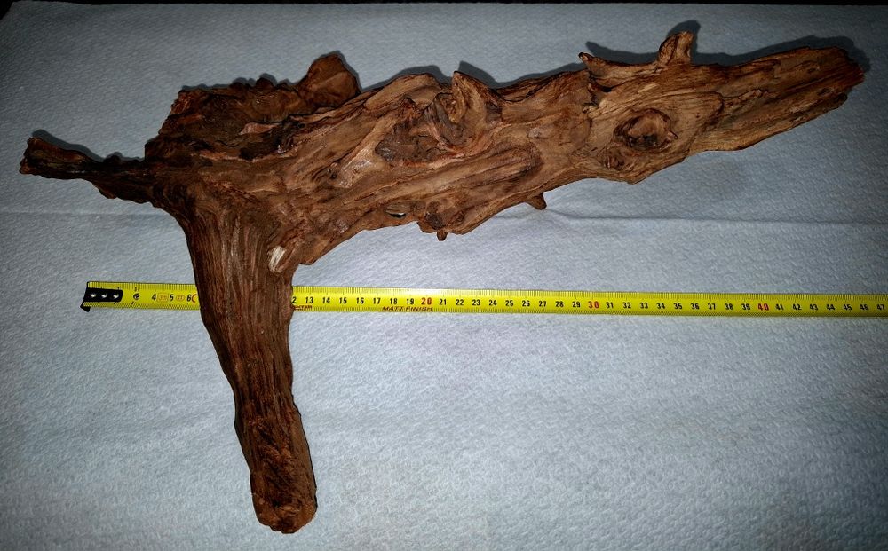 Vand buturuga pentru acvariu