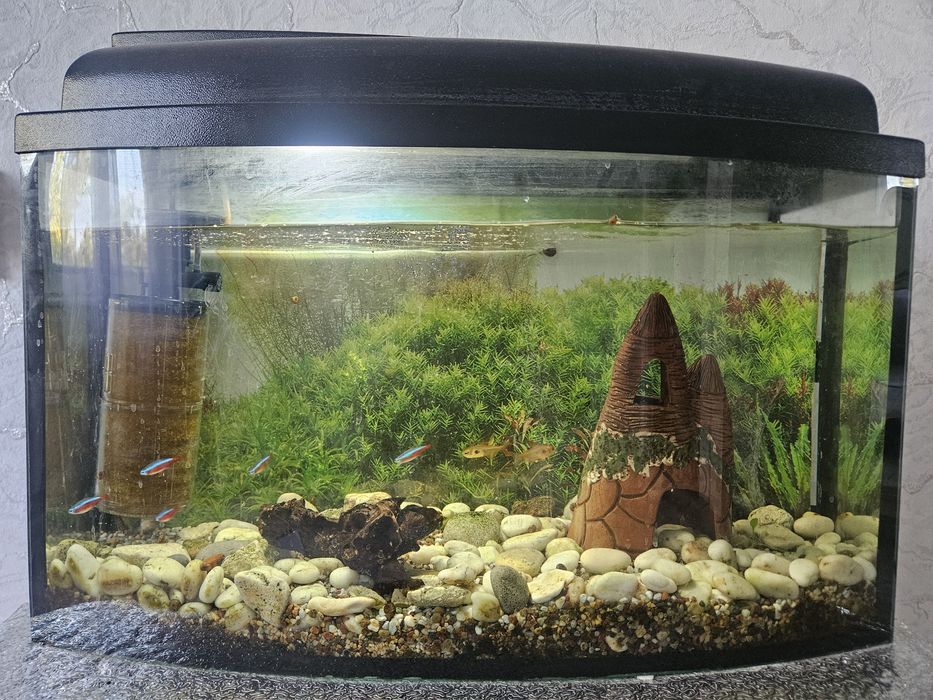 Продам  аквариум