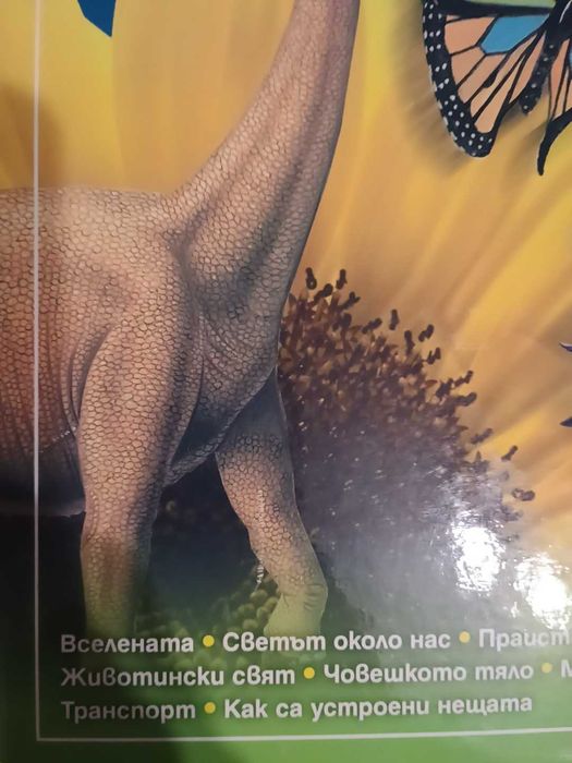 Детска енциклопедия