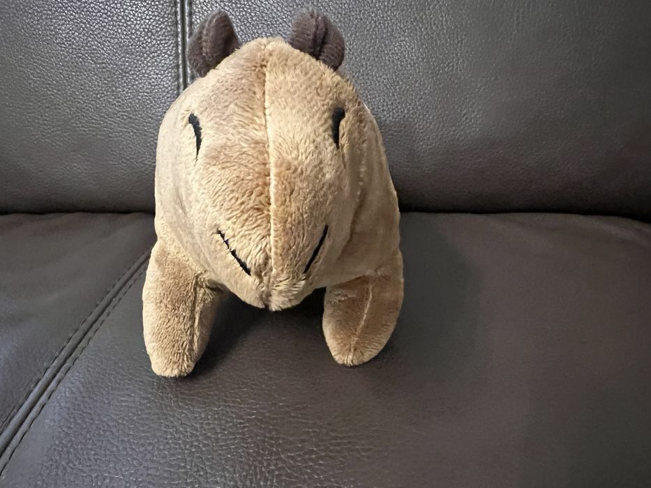 Плюшки - капибара, коте