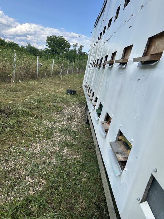 Vand stupina camion apicol si 30 famili de albine