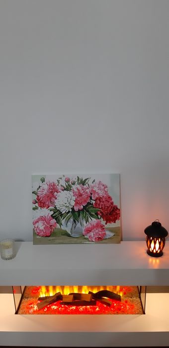 Pictură pe numere 40x50 cm