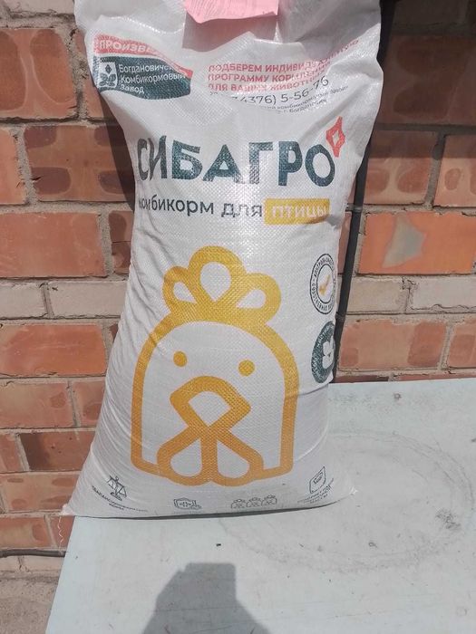 Цыплята бройлера Кобб 500