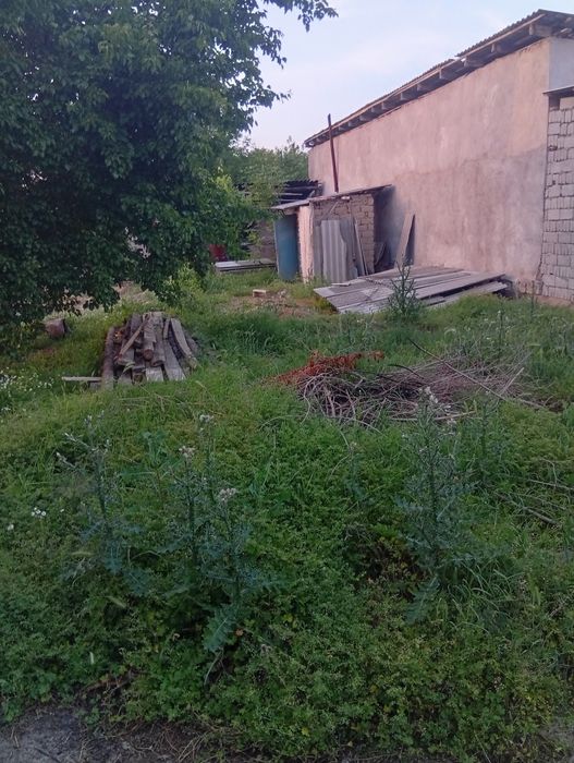 Ер сотилади сайхунобод цетирда Эски Ленин куси сутиги 2500 ₽