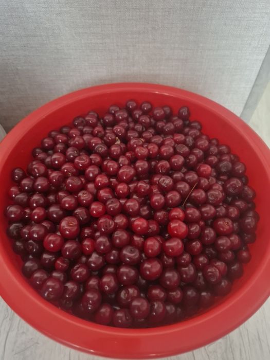 Продам домашнюю вишню