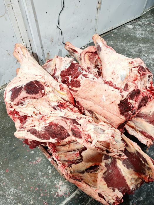 Мясо говядины тушами